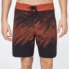 Oakley Painter Boardshort (Spicy Red)