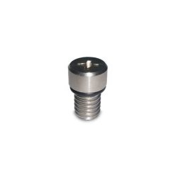 RRD Screw Air Valve With O Ring